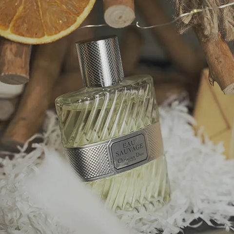 (Cao cấp) [CHIẾT - CHAI 10ML] Nước Hoa Nam Dior Eau Sauvage EDT Chính hãng