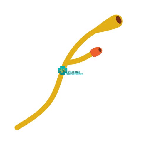 Hộp 10 sợi Dây Ống Thông Tiểu Foley 2 Nhánh fr8 Greetmed