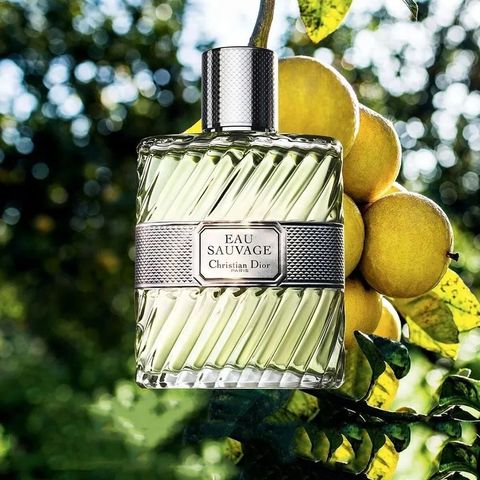 (Chiết 10ml) Nước Hoa Nam Dior Eau Sauvage EDT Chính Hãng