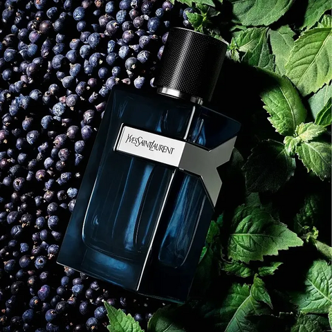 Cao cấp [CHIẾT - CHAI 10ML] Nước Hoa Nam Yves Saint Laurent YSL Y EDP Intense  CHÍNH HÃNG 658254