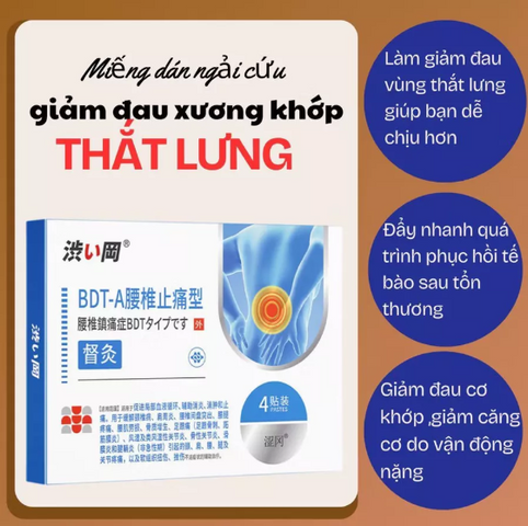 (COMBO 2 HỘP TIẾT KIỆM 25%) Miếng Dán  Giảm Đau Lưng hỗ trợ thư giãn cơ thể