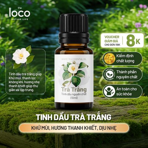 Tinh Dầu Nguyên Chất, Tinh Dầu Thơm Phòng, Tinh Dầu Nhập Khẩu Cao Cấp 10 ml