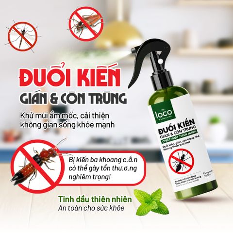 Combo 2 bình Xịt Thơm Tinh Dầu Đuổi Kiến Ba Khoan, Gián và Côn Trùng đuổi Kiến Gián Khử Mùi