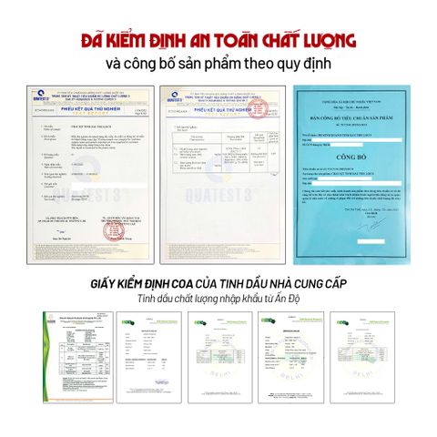 Combo 2 bình Xịt Thơm Tinh Dầu Đuổi Kiến Ba Khoan, Gián và Côn Trùng đuổi Kiến Gián Khử Mùi