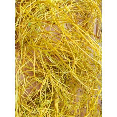 Dây tơ hồng tươi 500gr. khách đặt mới hái.