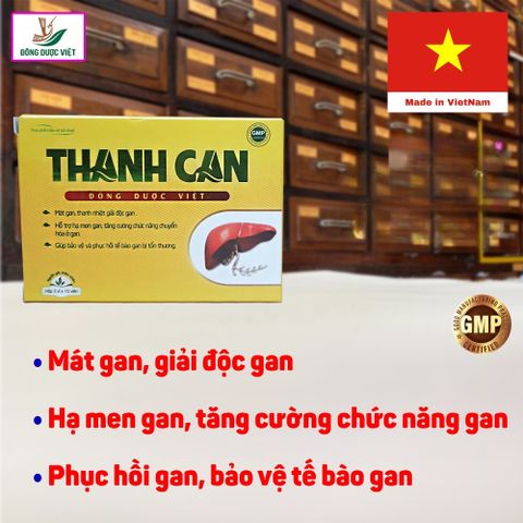 Thanh Can - Đông Dược Việt - Hạ men gan, bảo vệ, phục hồi tế bào bị tổn thương - Hộp 3 vỉ x 10 viên