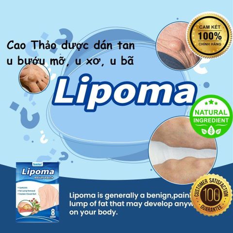 8 Miếng Cao Dán Tan U Bướu Mỡ, Tan Mỡ Bắp Tay, Mỡ Bụng,...Tinh Chất Thảoo dượcc Tự nhiên 100% - SIÊU RẺ