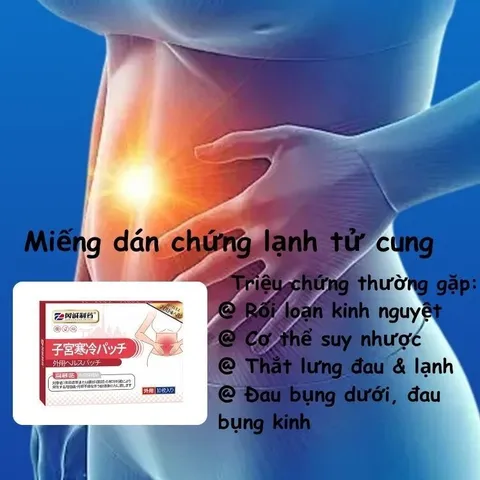 10 Miếng Dán Thảo Mộc Miyakan Nhật, Làm Ấm Tử Cung, Hết Đau Bụng Kinh, Ớn Lạnh Lưng... CHE TÊN KHI GIAO