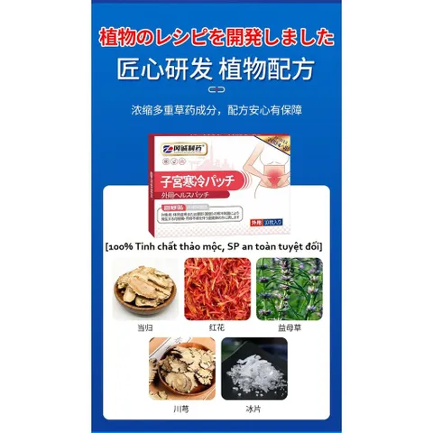 10 Miếng Dán Thảo Mộc Miyakan Nhật, Làm Ấm Tử Cung, Hết Đau Bụng Kinh, Ớn Lạnh Lưng... CHE TÊN KHI GIAO