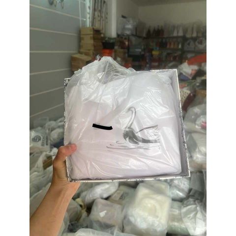 (HÀNG ĐẸP) - Túi vuông da lì khóa bạc 2 size, 2 box (box carton và box hộp) tặng kèm charm ngôi sao, thích hợp làm quà