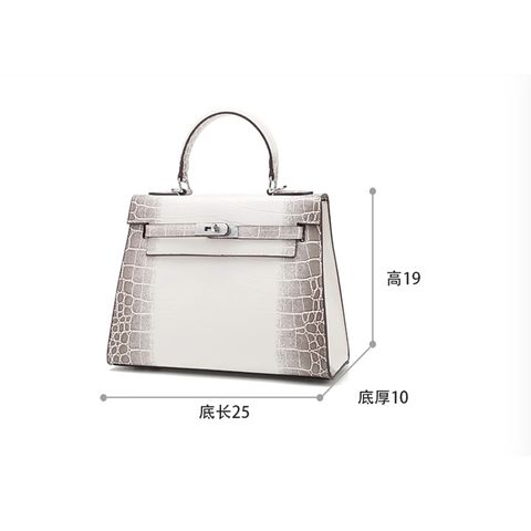 (HÀNG V.I.P - FULL BOX/ NO BOX) - Túi xách nữ Bạch tạng sang trọng size 25 da PU khóa bạc