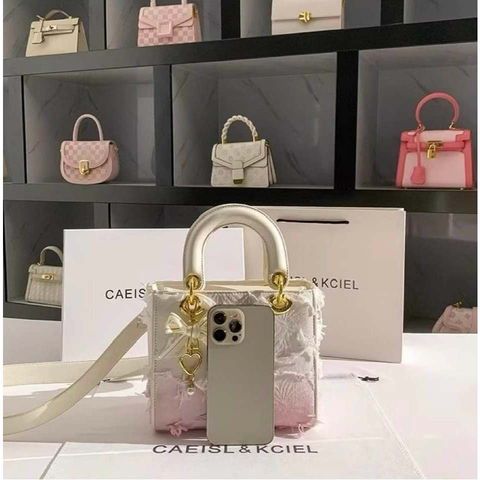Túi xách nữ Niche Gradient Tua Rua Diana Túi Nữ 2025 Túi cao cấp Nữ Túi đeo chéo di động Hợp thời trang