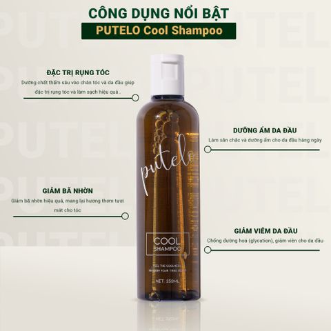 Dầu gội lạnh giảm rụng nhanh chóng, kích thích mọc tóc nhanh PUTELO Cool Shampoo chăm sóc tóc chuyên sâu từ NHẬT 250ml từ NHẬT
