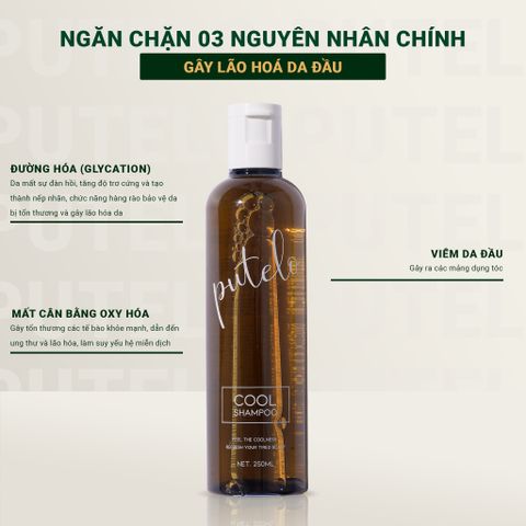 Dầu gội lạnh giảm rụng nhanh chóng, kích thích mọc tóc nhanh PUTELO Cool Shampoo chăm sóc tóc chuyên sâu từ NHẬT 250ml từ NHẬT