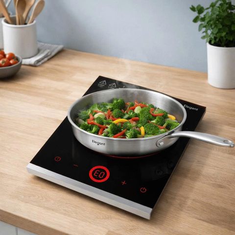 Bếp Từ Đơn Elegant S2105-E
