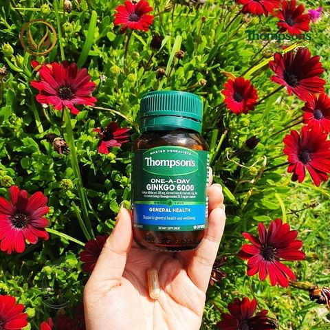 Viên uống bổ não, cải thiện trí nhớ và tập trung Thompson’s One-A-Day Ginkgo 6000mg 60 viên