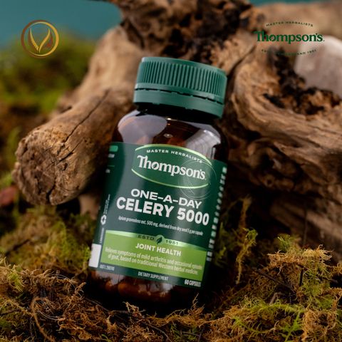 Viên uống giảm đau nhức khớp, giảm đau góut Thompson’s One-A-Day Celery 5000mg 60 viên