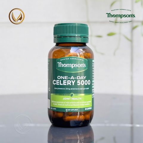 Viên uống giảm đau nhức khớp, giảm đau góut Thompson’s One-A-Day Celery 5000mg 60 viên