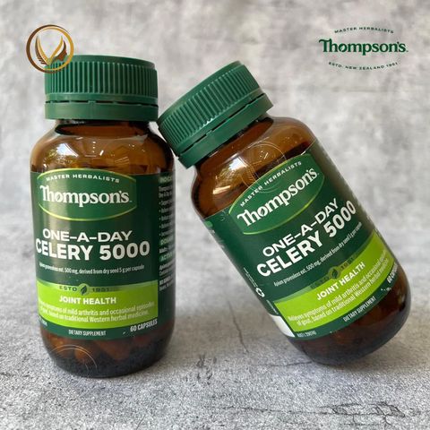 Viên uống giảm đau nhức khớp, giảm đau góut Thompson’s One-A-Day Celery 5000mg 60 viên