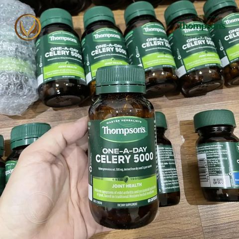 Viên uống giảm đau nhức khớp, giảm đau góut Thompson’s One-A-Day Celery 5000mg 60 viên