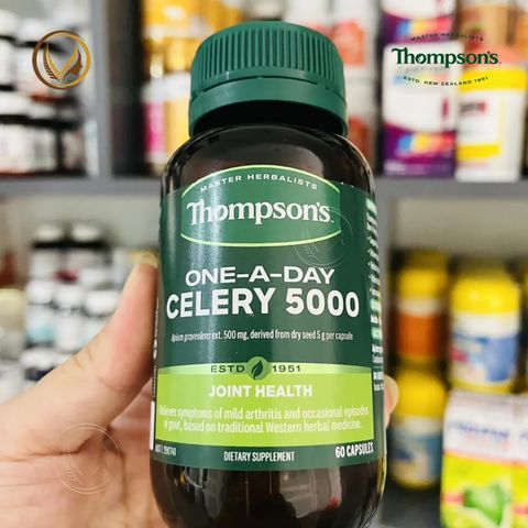 Viên uống giảm đau nhức khớp, giảm đau góut Thompson’s One-A-Day Celery 5000mg 60 viên