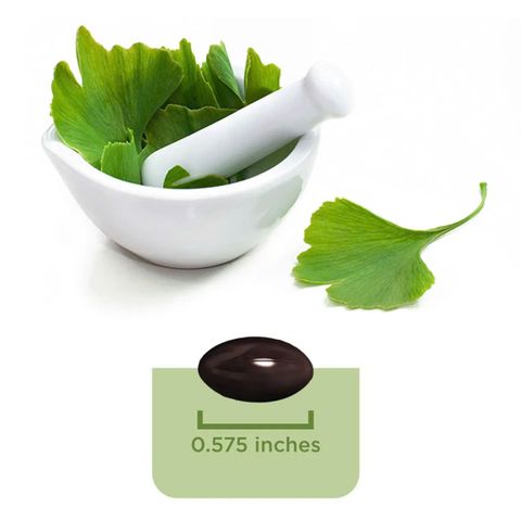 Viên uống bổ não ginkgo biloba 120mg 340 viên của mỹ