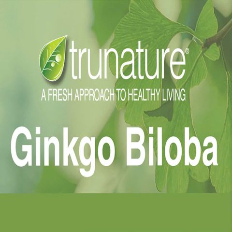 Viên uống bổ não ginkgo biloba 120mg 340 viên của mỹ