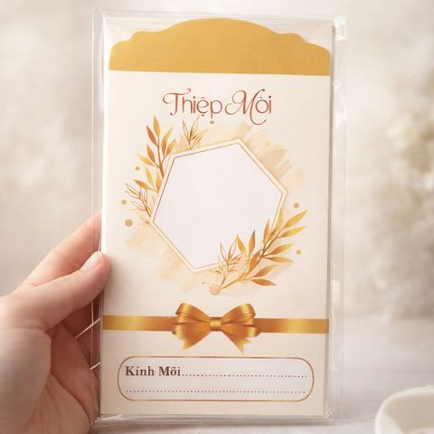 Mẫu thiệp mời CT007-CT010