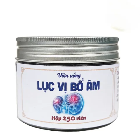 Lục Vị Bổ Âm - Túi 500 viên - Thận âm yếu, kinh nguyệt ít không đều, đau bụng kinh, đau lưng mỏi gối, nóng trong người