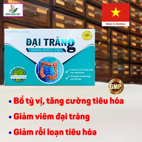 Đại Tràng Đông Dược Việt - Hộp 30 viên - Bổ tỳ vị, hỗ trợ tiêu hóa, cải thiện rối loạn tiêu hóa