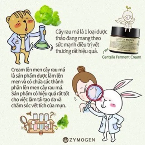 Kem Rau Má Zymogen Centella Ferment Cream Rau Má Lên Men Dưỡng Da Ngừa Mụn, Tái Tạo Da, Mờ Thâm, Lành Sẹo 50ml