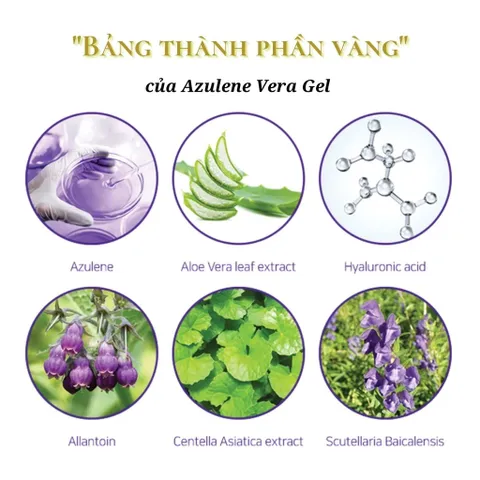 Dermafirm Azulene Vera Gel Tinh Chất Hoa Cúc Làm Dịu Phục Hồi Tái Tạo Da 120ml/1000ml Nhập khẩu từ Hàn Quốc