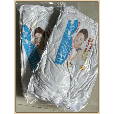 Combo 2 gối nằm ép hơi cao cấp có khóa kéo, bộ hai ruột gối nằm gòn