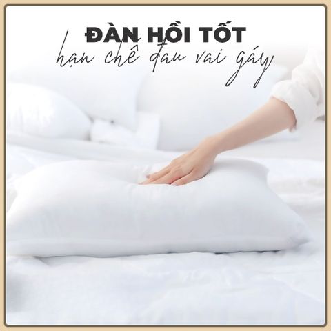 Ruột Gối Gòn Gối Nằm Gối Ôm Tiêu Chuẩn Khách Sạn 3* gối nằm 40x60 cm & ôm 35x100 cm