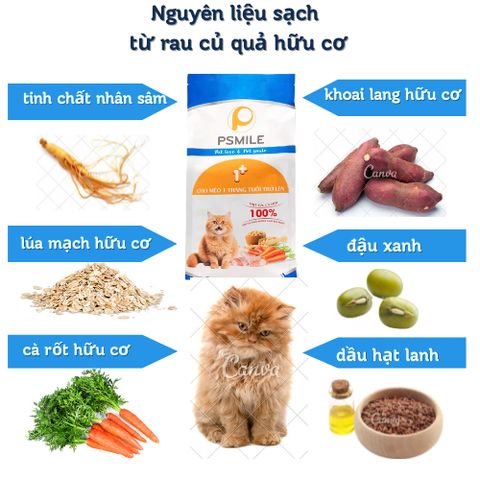 Hạt Cho Mèo Mix Topping Psmile - Thức Ăn Hạt Cho Mèo Từ 1 Tháng - Thức Ăn Cho Mèo Mọi Lứa Tuổi Kèm Topping Gà, Gan, sấy