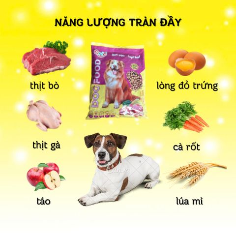 [900g] Hạt Cho Chó Orio - Thức Ăn Cho Chó Trưởng Thành - Hạt Cho Chó Lớn Túi 450g