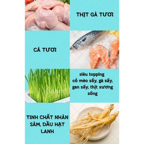 Hạt Cho Mèo Mix Topping Psmile - Thức Ăn Hạt Cho Mèo Từ 1 Tháng - Thức Ăn Cho Mèo Mọi Lứa Tuổi Kèm Topping Gà, Gan, sấy