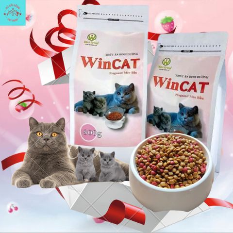 Hạt Cho Mèo WinCat - Thức Ăn Cho Mèo Bầu - Hạt Dinh Dưỡng Cho Mèo Đang Mang Thai Nuôi Con Túi 800g