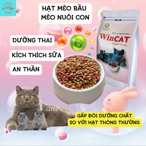 Hạt Cho Mèo WinCat - Thức Ăn Cho Mèo Bầu - Hạt Dinh Dưỡng Cho Mèo Đang Mang Thai Nuôi Con Túi 800g
