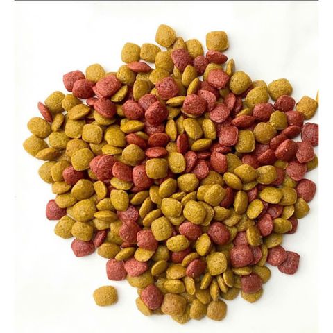 Hạt Cho Mèo WinCat - Thức Ăn Cho Mèo Bầu - Hạt Dinh Dưỡng Cho Mèo Đang Mang Thai Nuôi Con Túi 800g