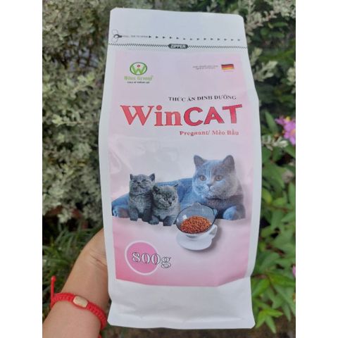 Hạt Cho Mèo WinCat - Thức Ăn Cho Mèo Bầu - Hạt Dinh Dưỡng Cho Mèo Đang Mang Thai Nuôi Con Túi 800g