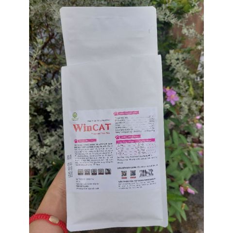 Hạt Cho Mèo WinCat - Thức Ăn Cho Mèo Bầu - Hạt Dinh Dưỡng Cho Mèo Đang Mang Thai Nuôi Con Túi 800g