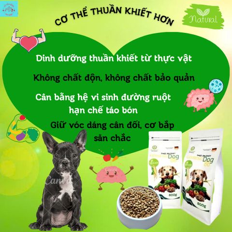 Thức Ăn Chay Cho Chó Ginseng Dog 86 túi 800g - Hạt Cho Chó WinDog Từ Rau Củ Quả - Thức Ăn Cho Chó Dinh Dưỡng Từ Thực Vật