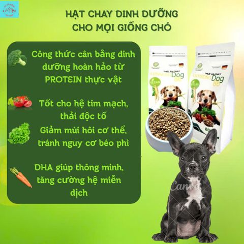 Thức Ăn Chay Cho Chó Ginseng Dog 86 túi 800g - Hạt Cho Chó WinDog Từ Rau Củ Quả - Thức Ăn Cho Chó Dinh Dưỡng Từ Thực Vật