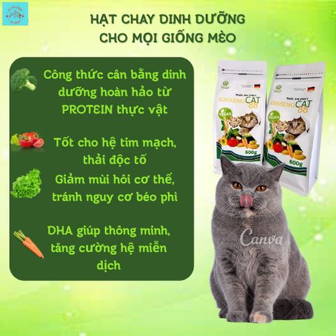 Thức Ăn Chay Cho Mèo Ginseng Cat 88 Túi 600g - Hạt Cho Mèo Wincat - Thức Ăn Cho Mèo Giảm Cân - Hạt Rau Củ Cho Mèo