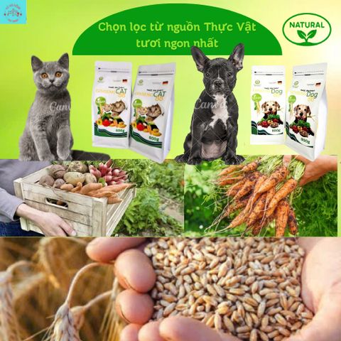 Thức Ăn Chay Cho Chó Ginseng Dog 86 túi 800g - Hạt Cho Chó WinDog Từ Rau Củ Quả - Thức Ăn Cho Chó Dinh Dưỡng Từ Thực Vật