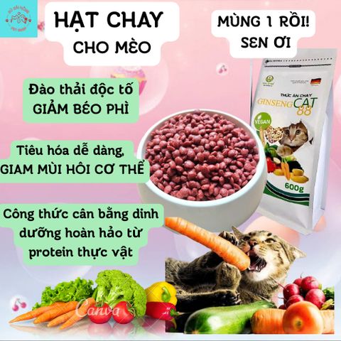Thức Ăn Chay Cho Mèo Ginseng Cat 88 Túi 600g - Hạt Cho Mèo Wincat - Thức Ăn Cho Mèo Giảm Cân - Hạt Rau Củ Cho Mèo