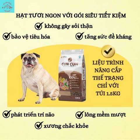 [DÙNG·THỬ] QÙA TẶNG KHUYẾN MÃI Cho Chó Mèo - Thịt Sấy Cho Mèo - Đồ Ăn Cho Chó Mèo - Topping mix Hạt Cho Mèo
