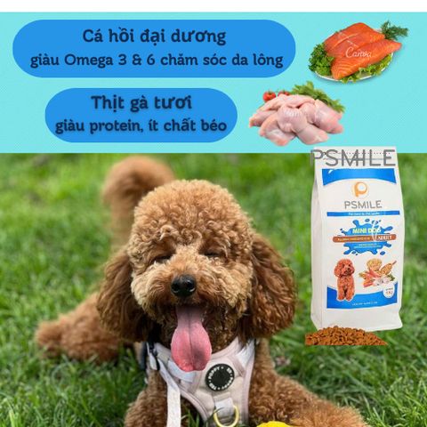 Thức Ăn Cho Chó Mix Topping - Hạt Tăng Cân Cho Chó Kén Ăn - Hạt Cho Chó Túi 1Kg