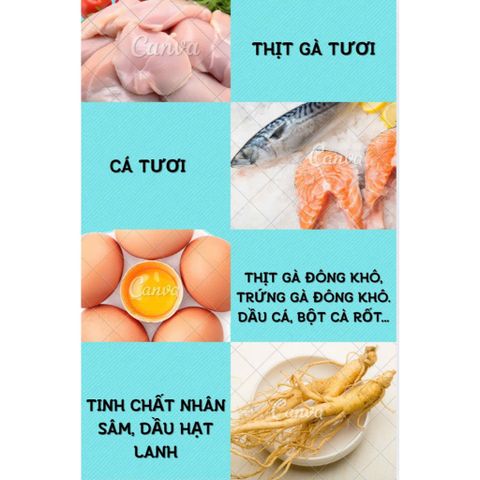 Thức Ăn Cho Chó Mix Topping - Hạt Tăng Cân Cho Chó Kén Ăn - Hạt Cho Chó Túi 1Kg